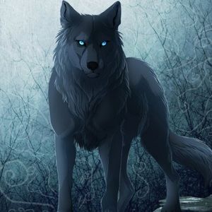 Meet your Posher, Angel